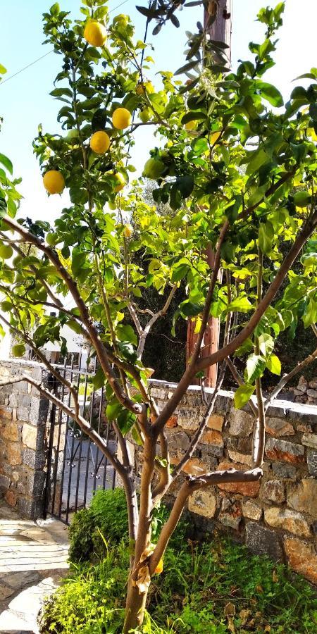 Traditional House In * Elounda (Crete)